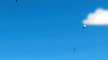 帶著黑色尾巴的小亮滿世界亂飛.gif