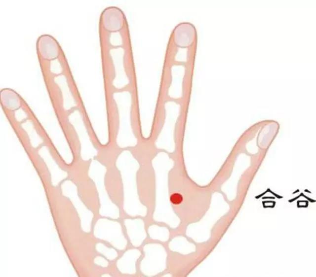 合谷.jpg