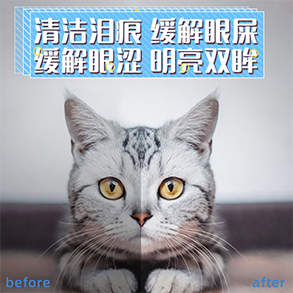 寵物眼藥水貼牌