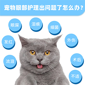 寵物眼藥水oem